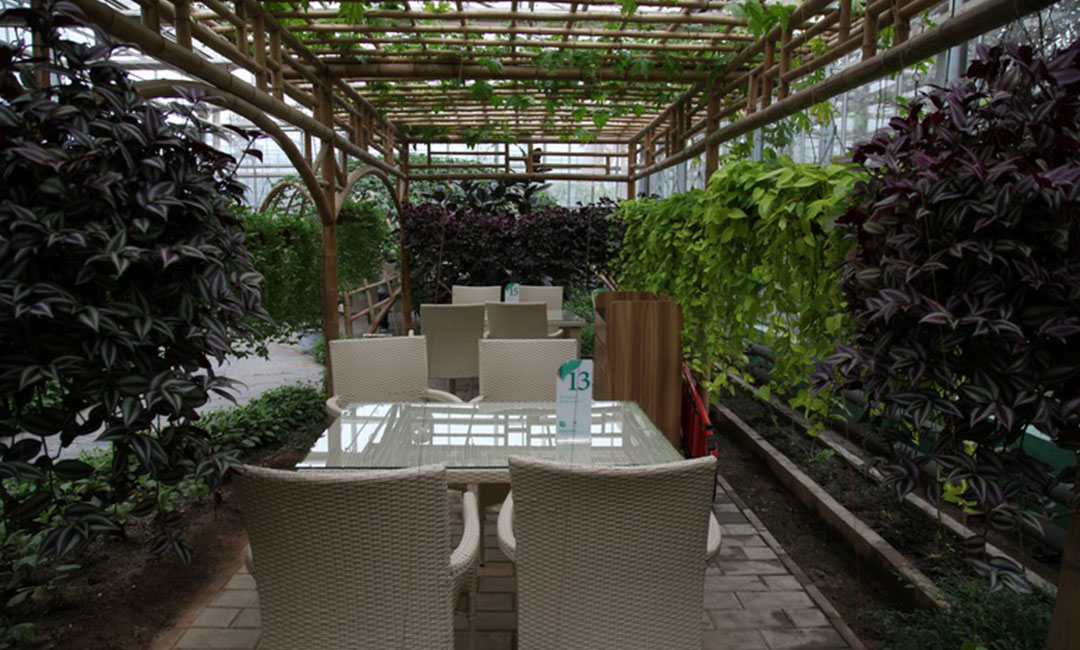 巴音郭楞康柏宇品牌文案撰写案例